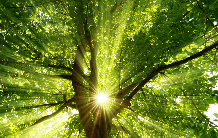 疫情下的戰(zhàn)爭