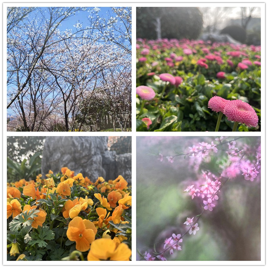 【女神節(jié)專題】一路走來一路拍——于金瀅攝影集之打卡玄武湖、中山陵