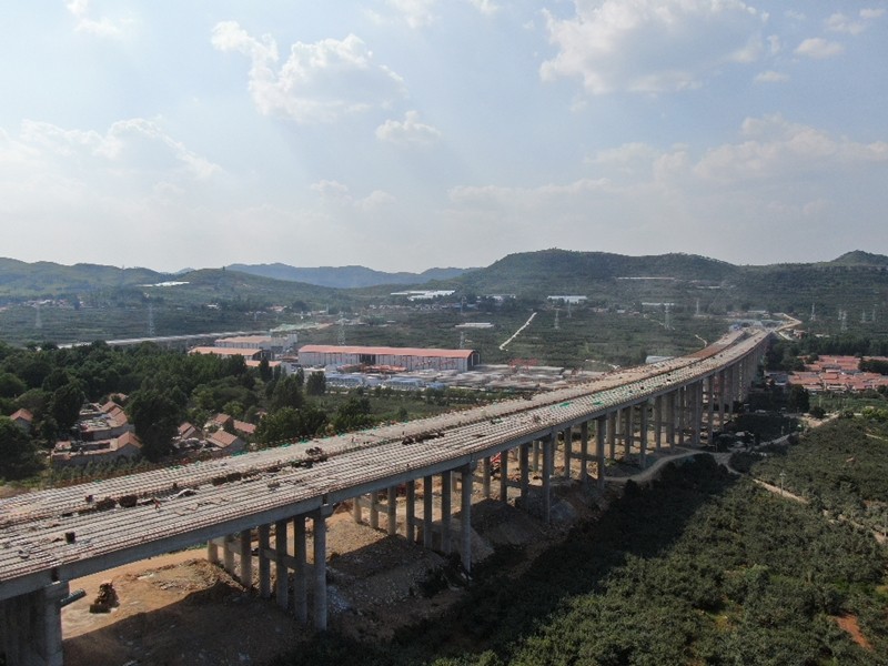 6-6、6月27日臨臨高速六標(biāo)苗莊特大橋圓滿完成全部T梁架設(shè)_副本