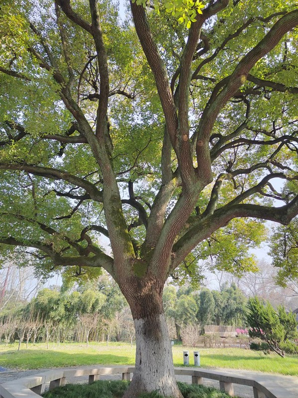 陽光明媚的三月