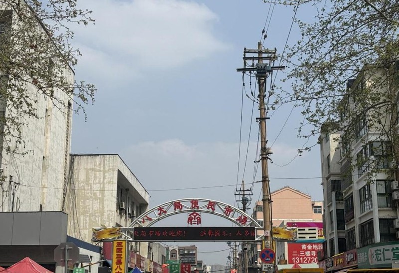 春天，一起去探尋淄博的魅力