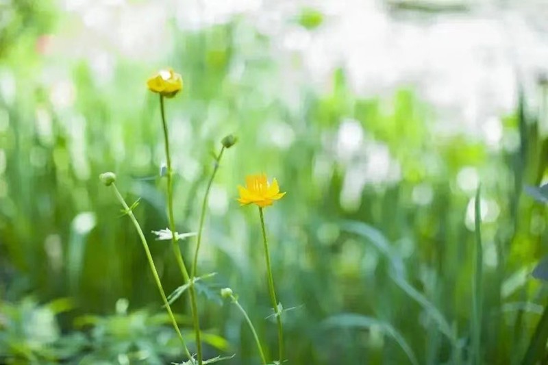 蟄伏是為了迎接希望