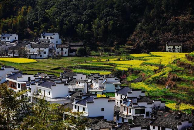 《我的阿勒泰》敲開了心房，心房的最深處有屬于自己的鄉(xiāng)愁