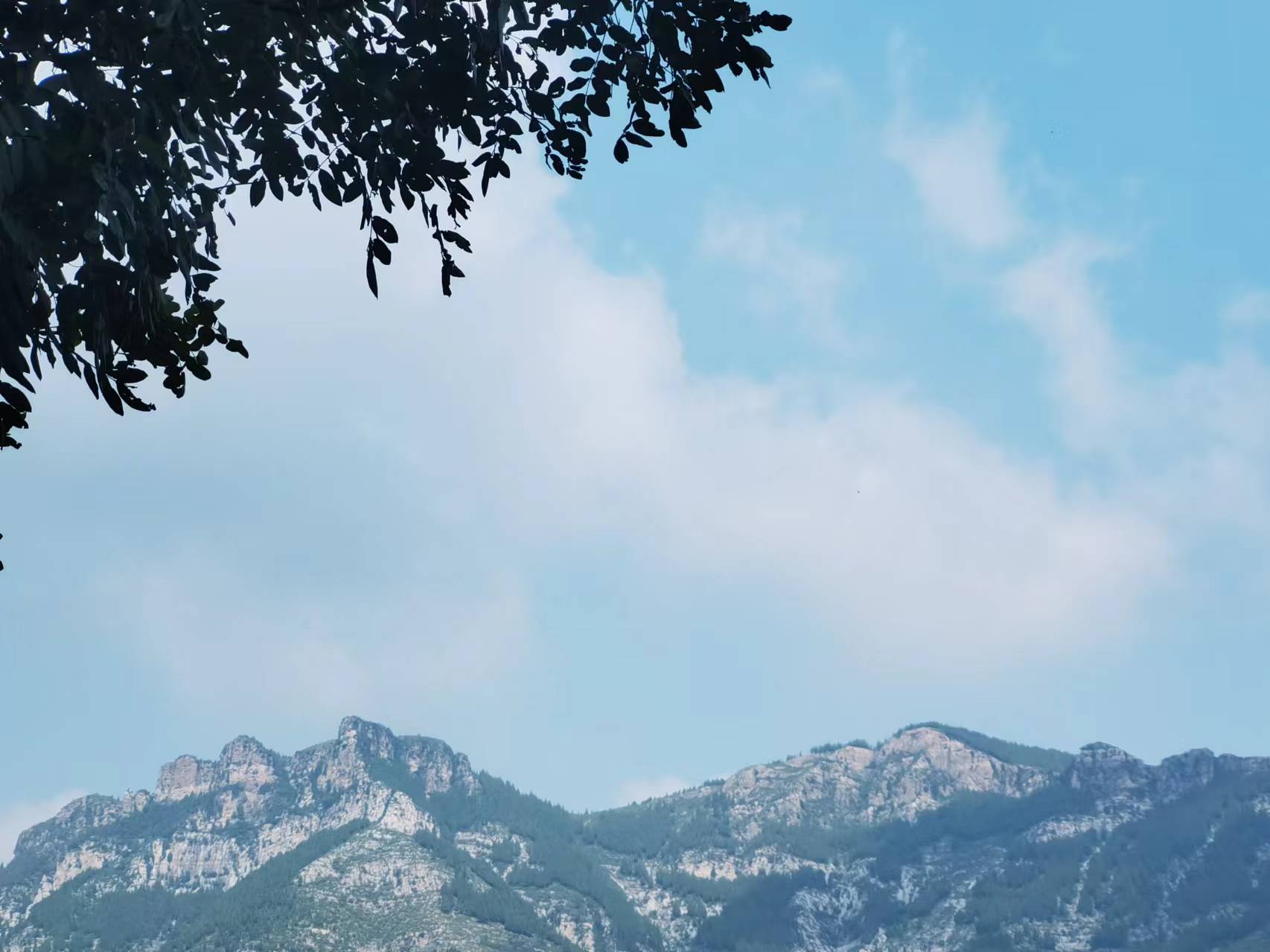 走走停停，不虛此行