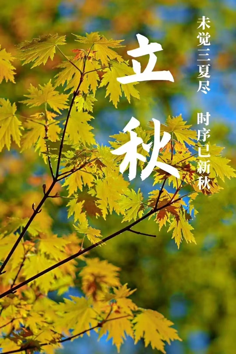 微信圖片_20240807085751