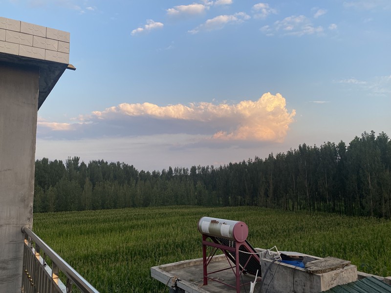 陳家愛(ài)6ZmI5a_副本 陳家愛(ài)6ZmI5a_副本