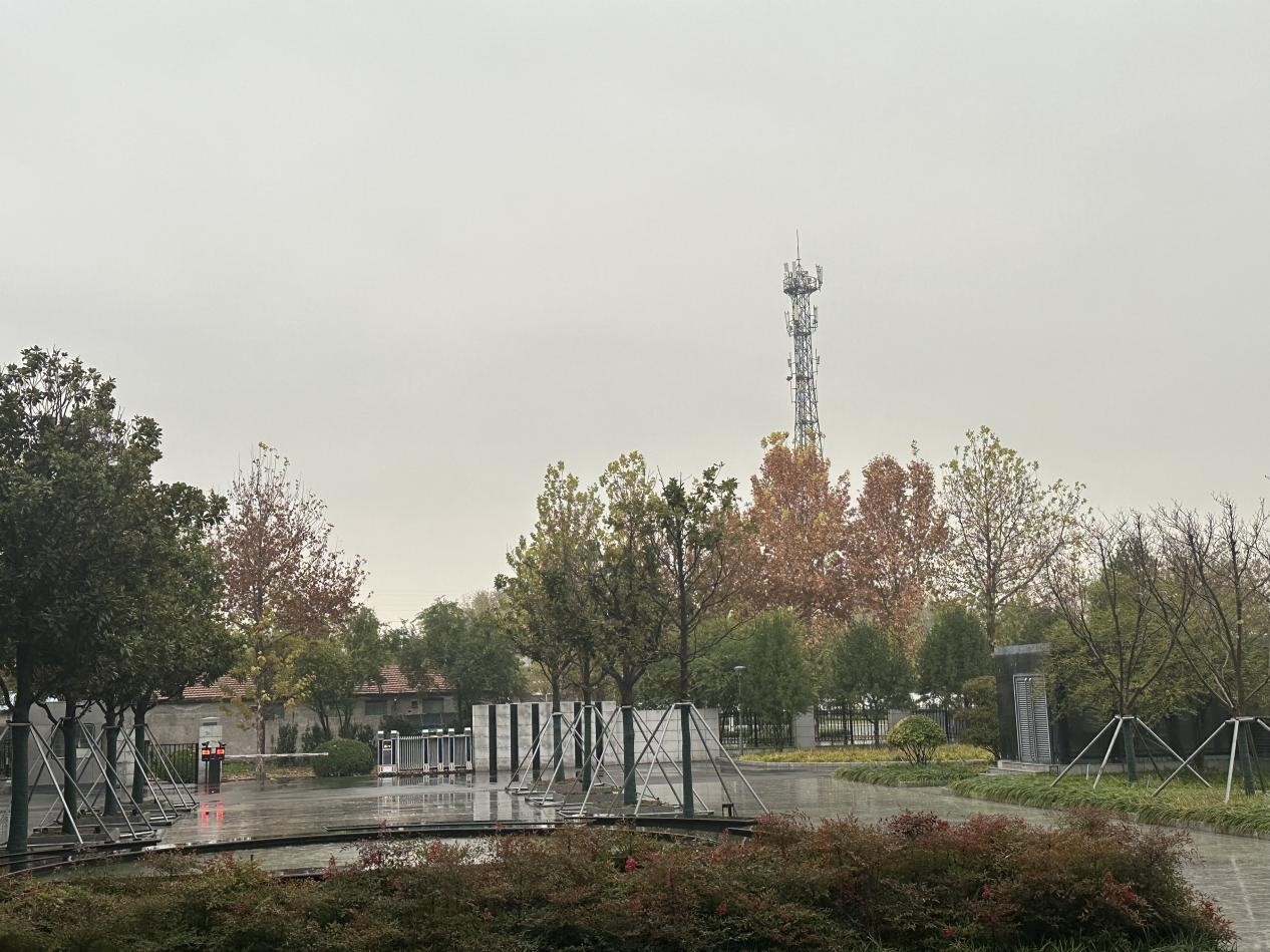 冬雨之韻，生活之色