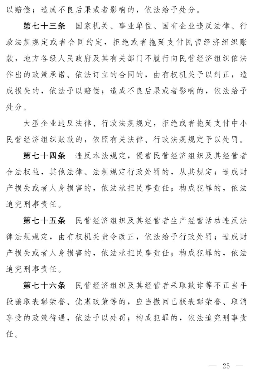 民營(yíng)經(jīng)濟(jì)促進(jìn)法(草案)_17