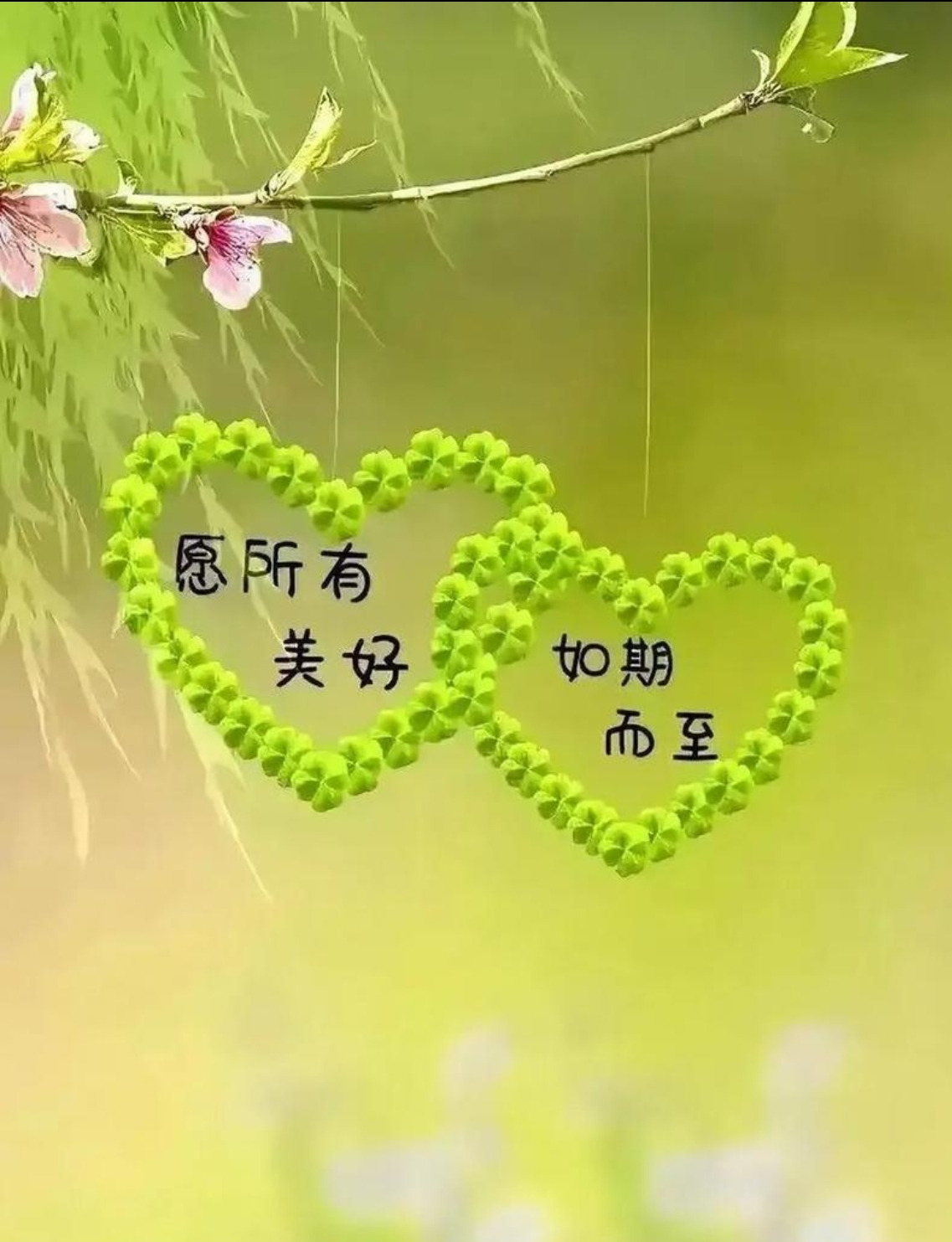 廿載情誼，重逢見暖陽(yáng)