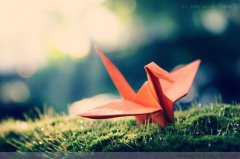 平凡的崗位，不平凡的你