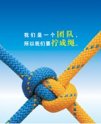 從人力資源部看團結(jié)，淺談對團隊的理解