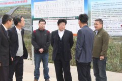 市公路局局長王興視察我S102項目工地