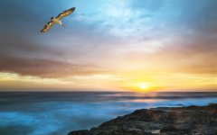 永遠(yuǎn)的力量