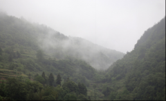 再見，江西！