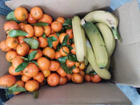 在離疫情最近的日子里