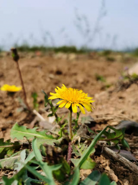 滿懷希望，走向未來