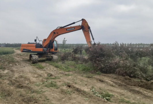 郯城縣李莊中環(huán)路項目施工進展
